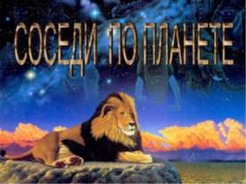 Соседи по планете