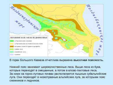 Западный кавказ презентация по географии