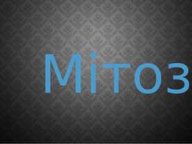 Мітоз