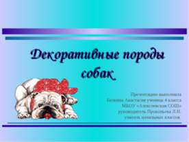 Декоративные породы собак.