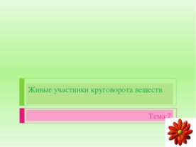 Живые участники круговорота веществ