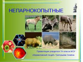Непарнокопытные