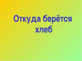 Откуда берётся хлеб