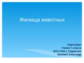 Жилища животных 7 класс