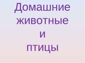 Домашние животные