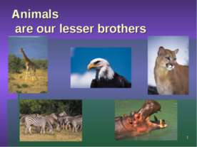 Animals are our lesser brothers