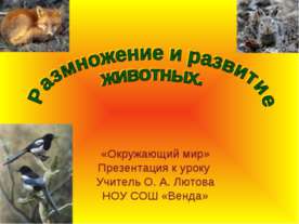 Размножение и развитие животных