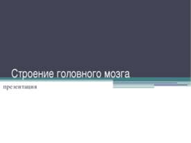 Строение головного мозга