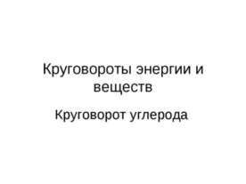 Круговороты энергии и веществ. Круговорот угле