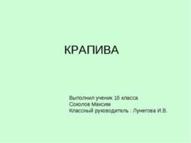 Крапива 1 класс