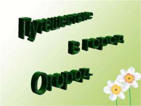 Путешествие в город огород