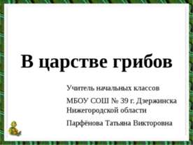 В царстве грибов