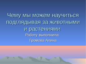 Чемы мы можем научится подгядывая за животными и растениями?