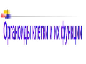Органоиды клетки и их функции