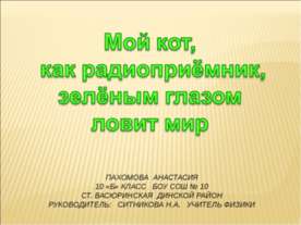 Мой кот, как радиоприёмник, зелёным глазом ловит мир