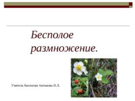 Бесполое размножение 9 класс