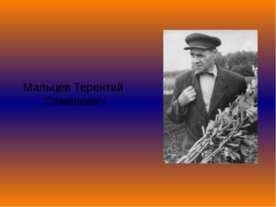 Мальцев Терентий Семёнович