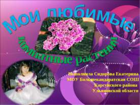 Мои любимые комнатные растения