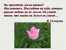 Красота и здоровье