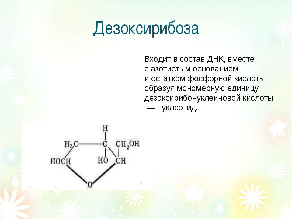 Состав днк дезоксирибоза. Дезоксирибоза альдегидная группа. Дезоксирибоза биологическая роль. Тимин дезоксирибоза. В состав ДНК входит углевод дезоксирибоза.