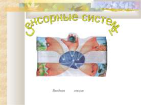 Сенсорные системы