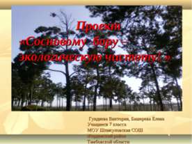 Сосновому бору – экологическую чистоту!