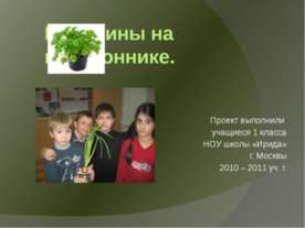 Витамины на подоконнике