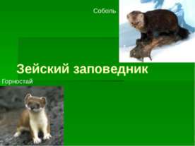 Зейский заповедник
