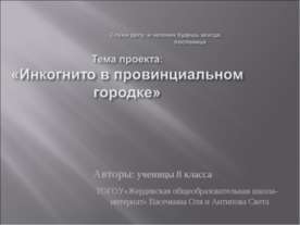 Инкогнито в провинциальном городке