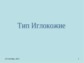 Тип Иглокожие