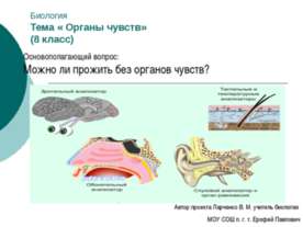 Органы чувств 8 класс