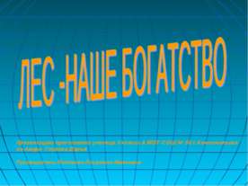 Лес - наше богатство