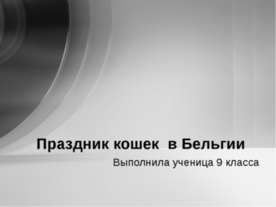 Праздник кошек в Бельгии