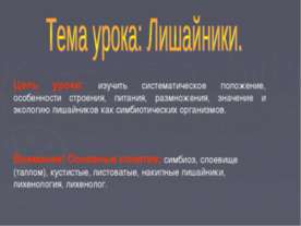 Лишайники
