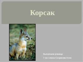 Корсак