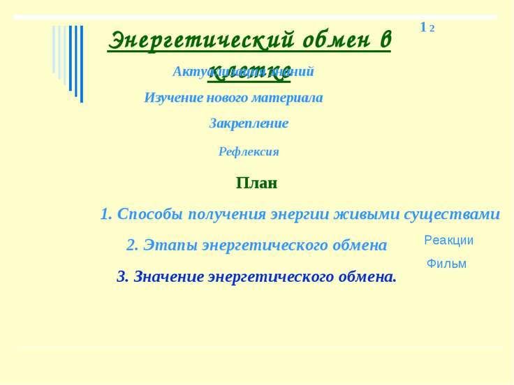 Викторина по биологии 7 класс
