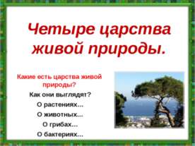 4 царства