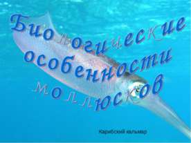 Биологические особенности моллюсков
