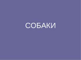 СОБАКИ