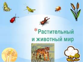 Растительный и животный мир