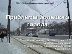 Проблемы большого города