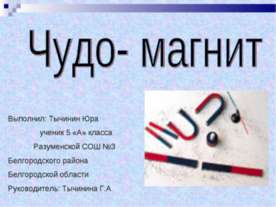 Чудо-магнит