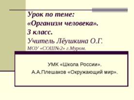 Организм человека