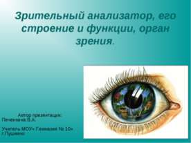 Зрительный анализатор, его строение и функции, орган зрения