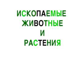 Ископаемые животные и растения