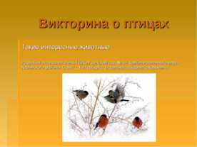 Викторина о птицах