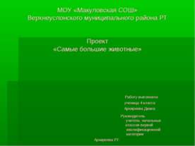 Самые большие животные