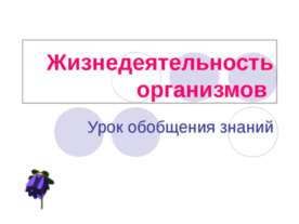 Жизнедеятельность организмов. Урок обобщения знаний