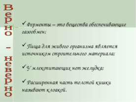 Кровеносная система. Кровь