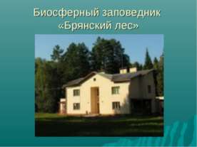 Биосферный заповедник «Брянский лес»